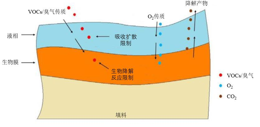 工業(yè)污水廢氣特點及惡臭治理技術(shù)